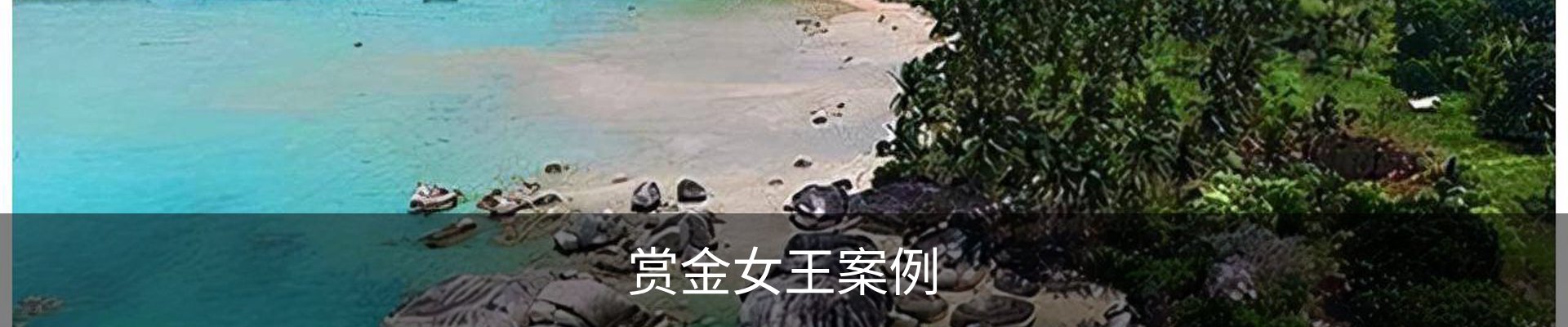 赏金女王案例